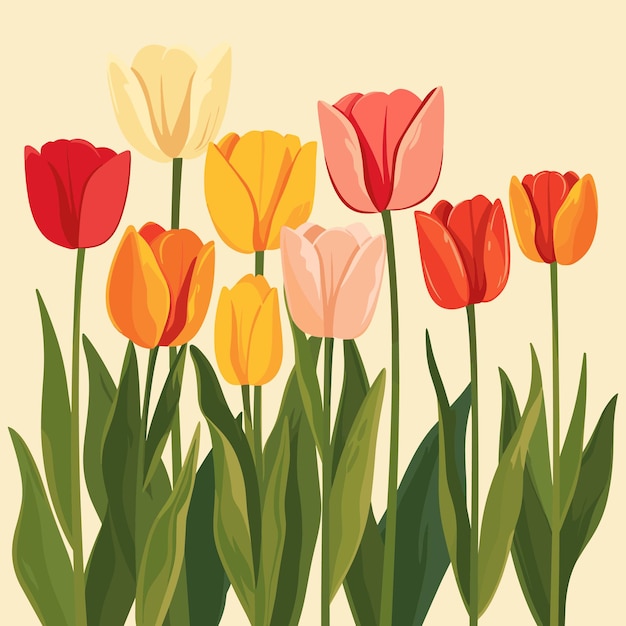 Ilustración plana y elegante con muchos tulipanes rojos, amarillos y claros en línea sobre un fondo amarillo