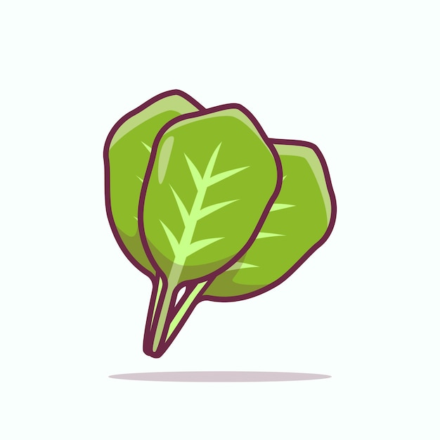 Ilustración plana de espinacas vegetales Ilustración vectorial de alimentos saludables vegetales