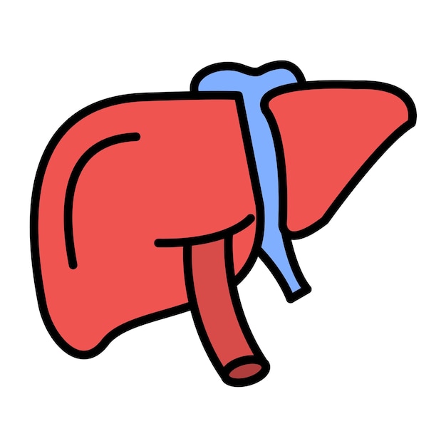 Ilustración plana del hígado