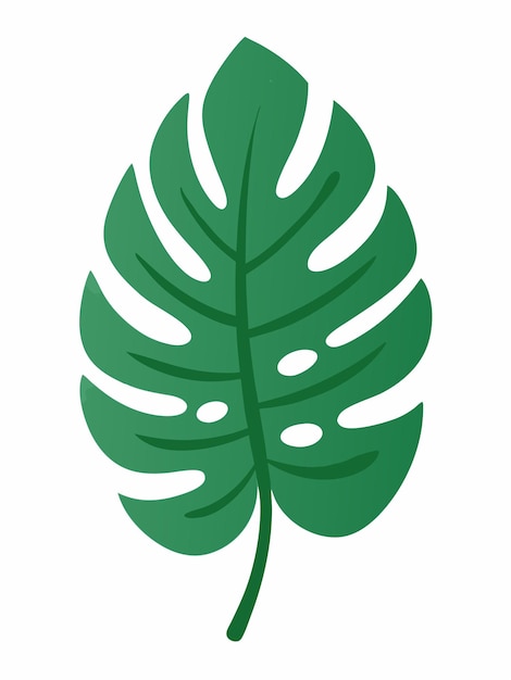 Ilustración plana de la hoja de Monstera sobre un fondo blanco