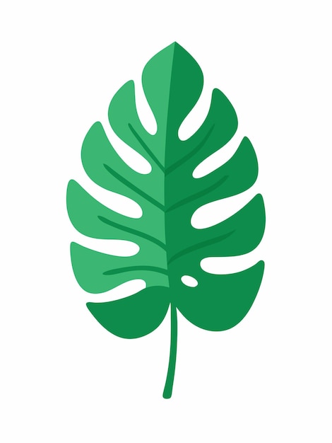 Ilustración plana de la hoja de Monstera sobre un fondo blanco