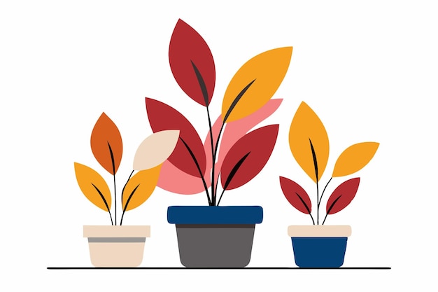 Ilustración plana de plantas ornamentales sobre un fondo blanco