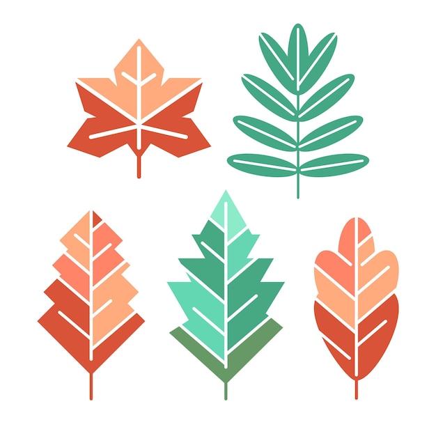 Ilustración plana simple de las hojas