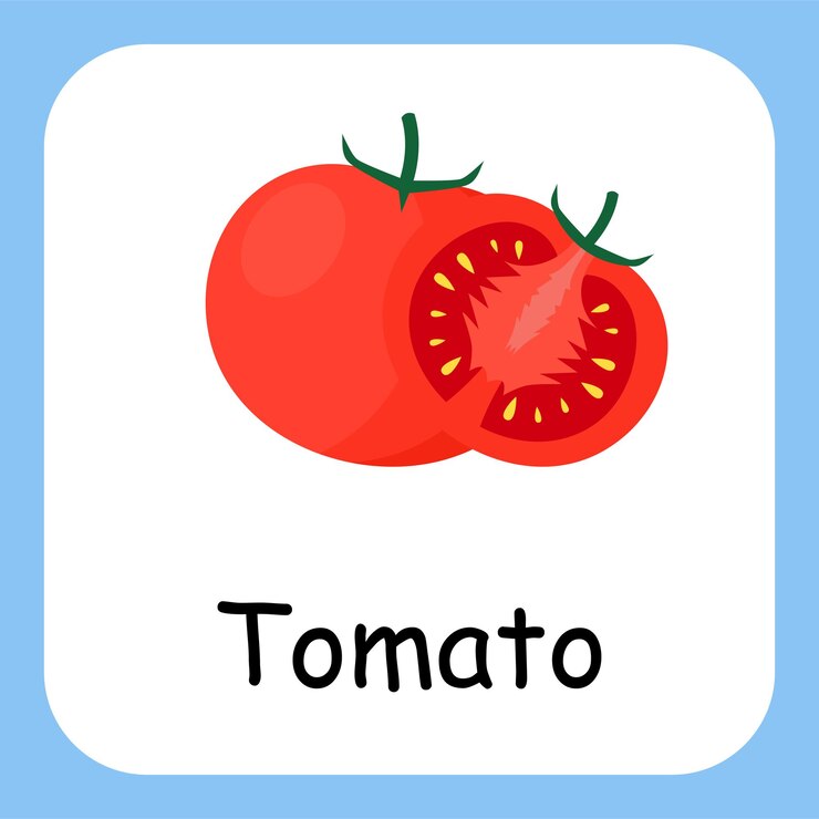 Vector ilustración plana de tomate con enseñanza de diseño vectorial de texto para niños.