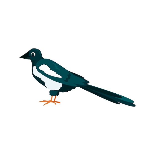 Ilustración plana de urraca elemento vectorial de color de la colección de aves ilustración creativa de urraca