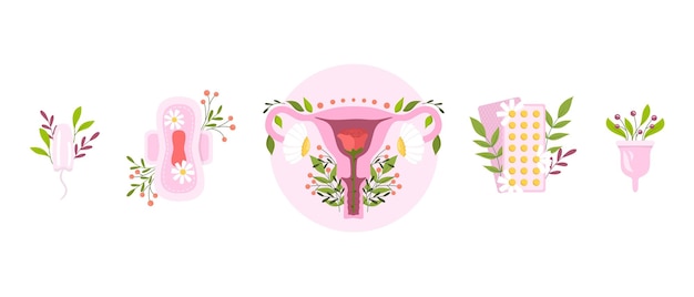 Ilustración plana de útero y productos de higiene femenina con flores.