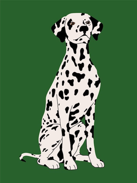 Vector ilustración plana de vector dálmata de raza de perro aislado sobre fondo verde