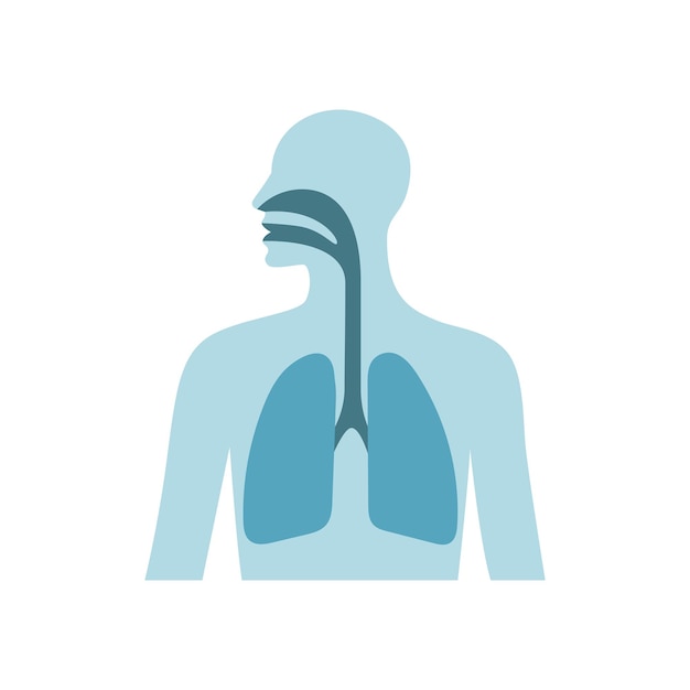 Ilustración plana de vector de pulmones humanos silueta de pecho masculino concepto de coronavirus