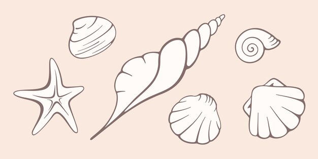 Ilustración plana vectorial de conchas marinas Colección de elementos vectoriales dibujados a mano sobre fondo pastel