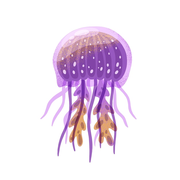 Ilustración plana vectorial de medusas moradas de dibujos animados. Animal marino colorido o gelatina marina con tentáculos aislados en fondo blanco. Fauna oceánica, criatura acuática. Habitante natural del agua exótica.