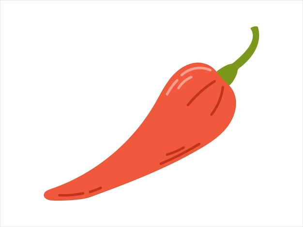 Ilustración plana vectorial del pimienta de pimienta dulce roja aislada en verduras naturales blancas frescas