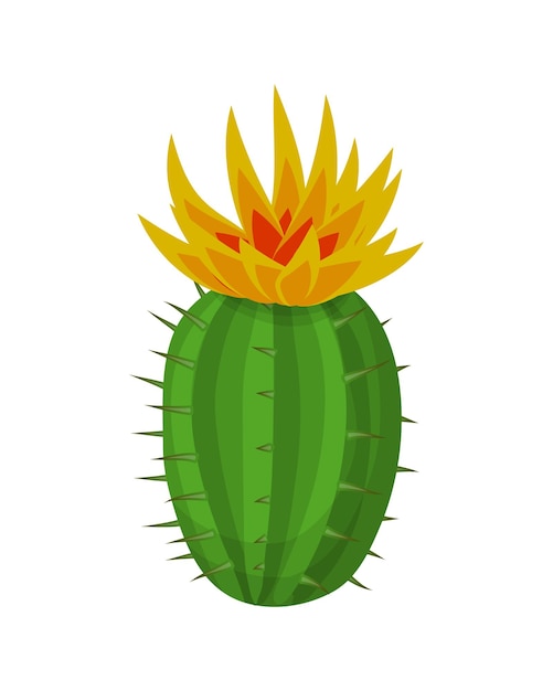 ilustración de la planta de cactus