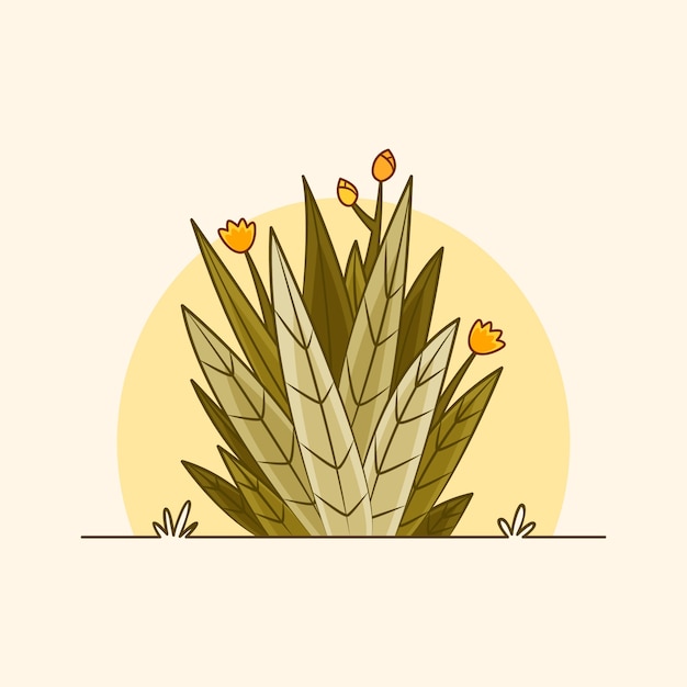 Vector ilustración de planta frailejon dibujada a mano