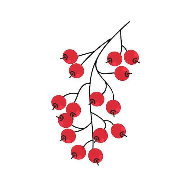 Ilustración de planta con frutos rojos