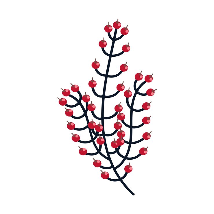 Vector ilustración de planta con frutos rojos