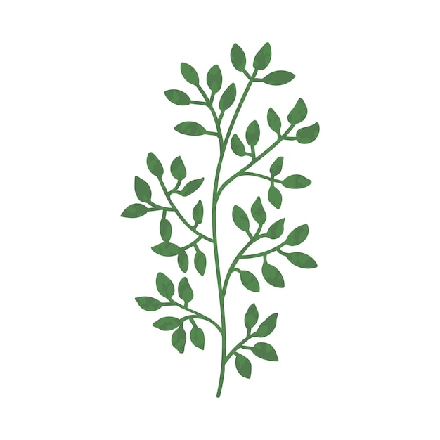 Ilustración de planta con hojas rojas