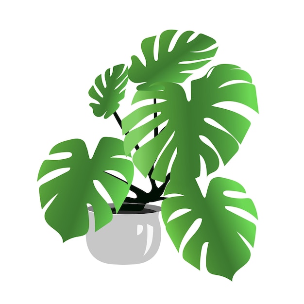 Vector ilustración de la planta homedecor