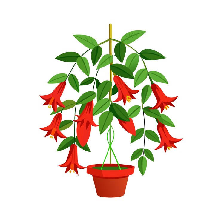 Ilustración de una planta de interior en una olla