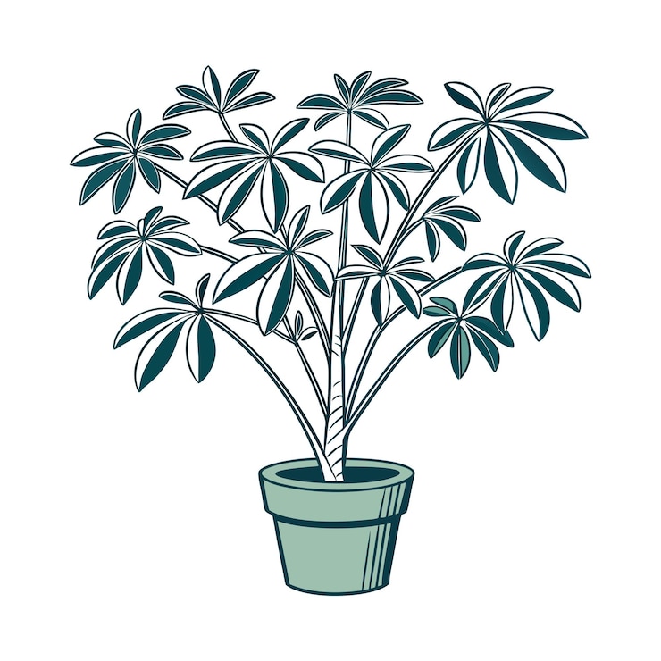 Vector ilustración de una planta de interior en una olla