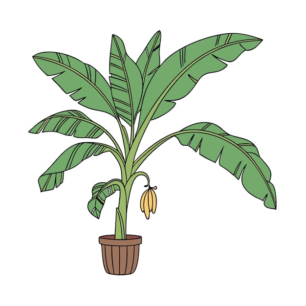Ilustración de una planta de interior en una olla