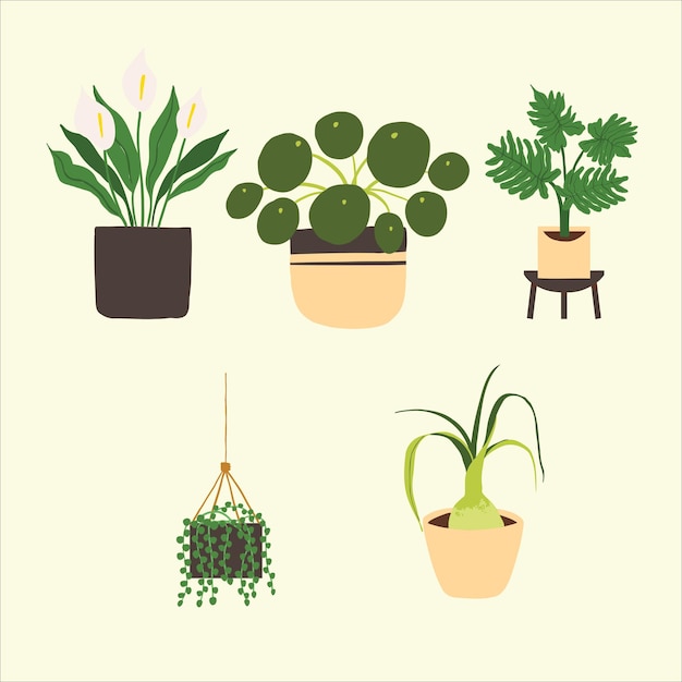 Vector ilustración de planta en maceta de interior. decoración hogareña. hojas tropicales en jardineras y macetas con estilo.