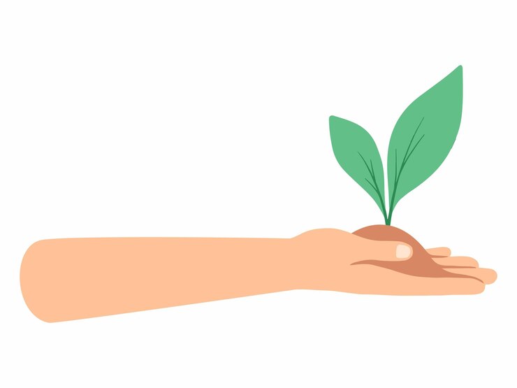 Vector ilustración de una planta con la mano humana