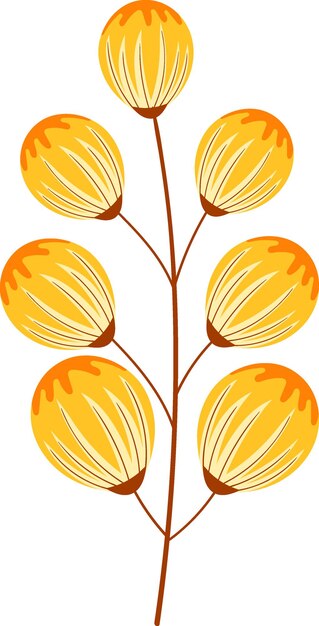 Ilustración de la planta rama de la planta con hojas amarillas redondas entrando en la primavera
