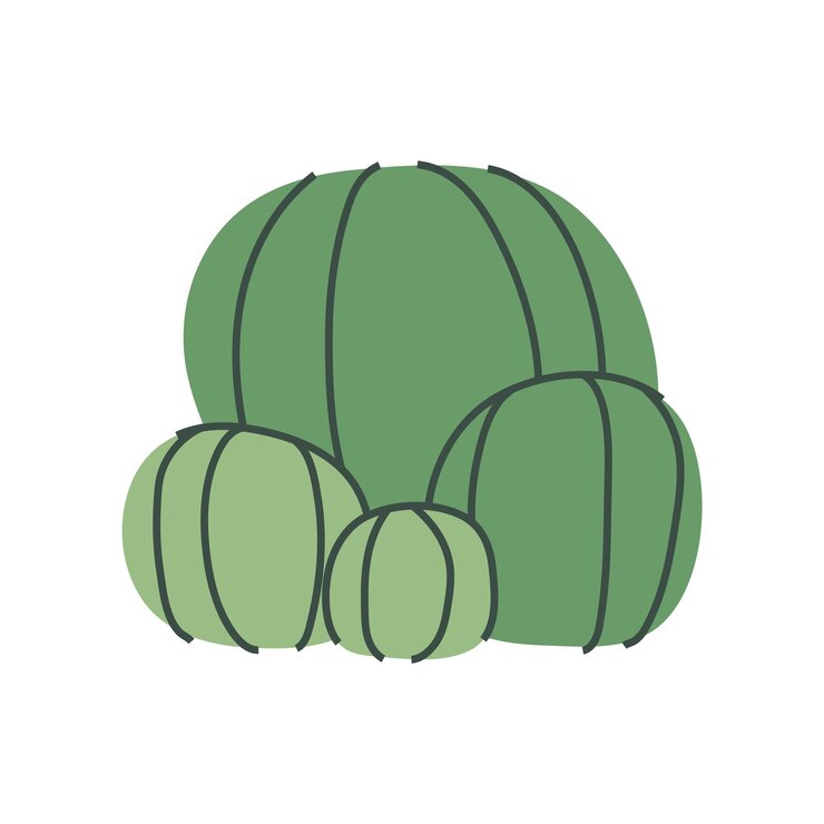 Vector ilustración de una planta suculenta del desierto de cactus de dibujos animados verdes