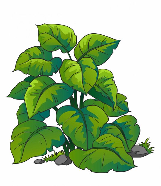 Ilustración de una planta tropical