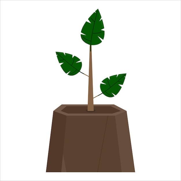 Ilustración de la planta