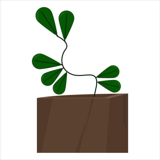 Ilustración de la planta