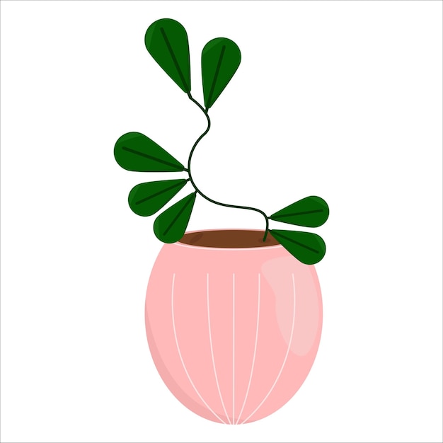 Ilustración de la planta