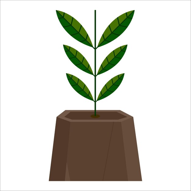Ilustración de la planta