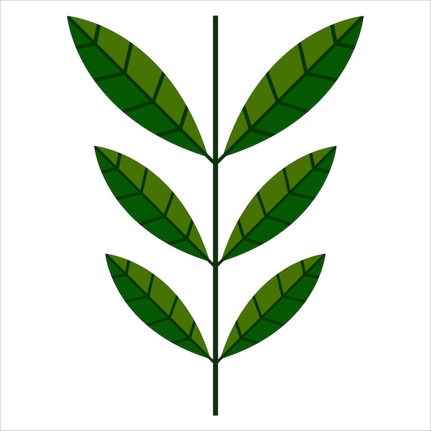Ilustración de la planta