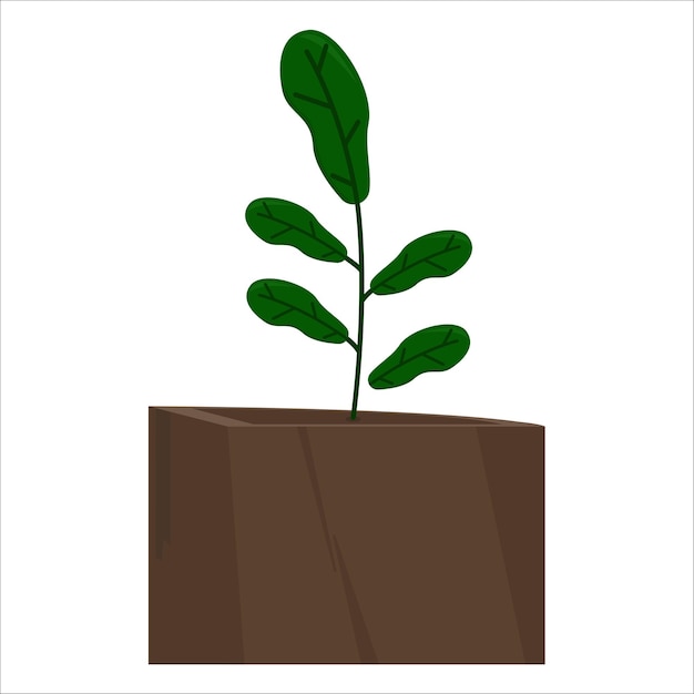 Ilustración de la planta