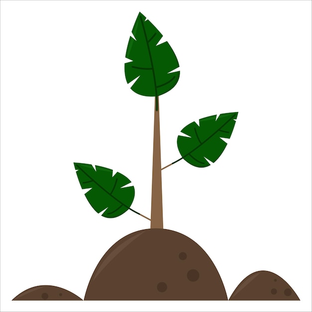 Ilustración de la planta