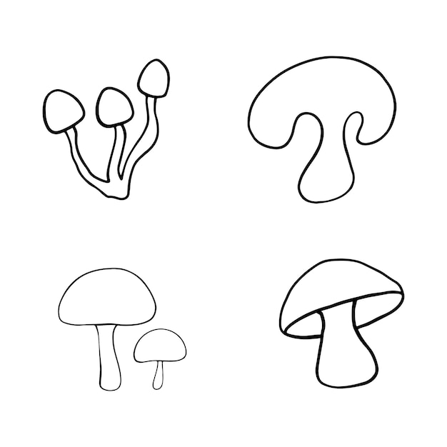 Ilustración de plantas forestales de otoño hongos gráficos de la cosecha con estrellas ilustraciones botánicas