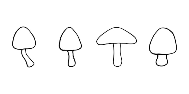 Ilustración de plantas forestales de otoño hongos gráficos de la cosecha con estrellas ilustraciones botánicas