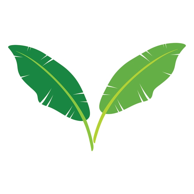 Ilustración de la plantilla del icono de la hoja de plátano