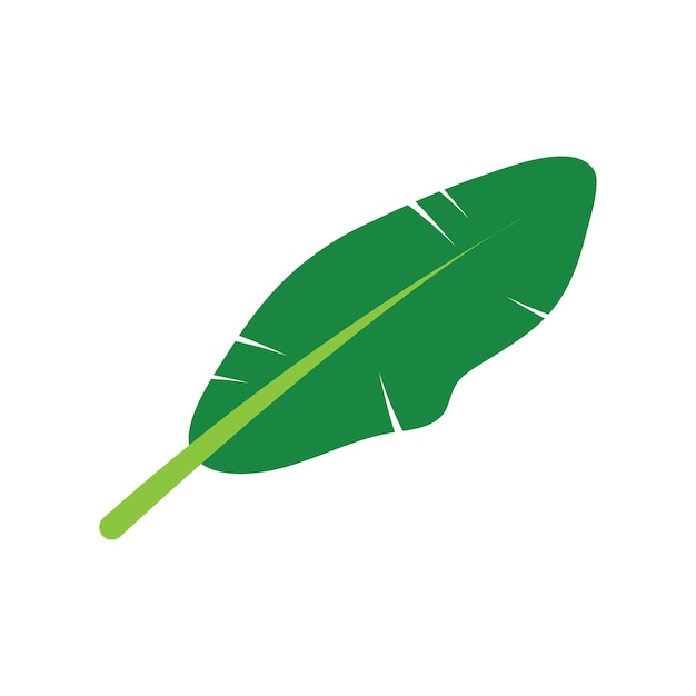 Ilustración de la plantilla del icono de la hoja de plátano