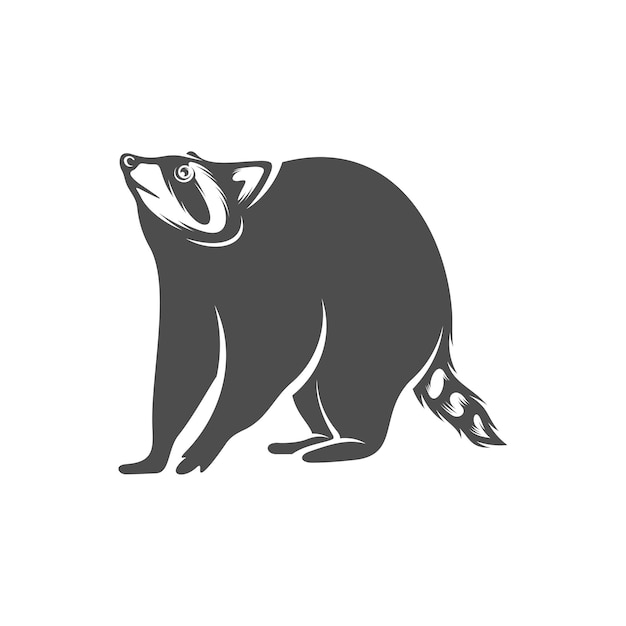 Ilustración de plantilla de símbolo de icono vectorial de diseño de logotipo de mapache