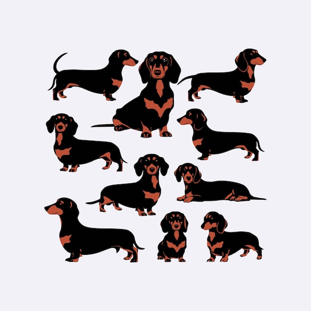 Ilustración de plantilla vectorial de animales para el conjunto de siluetas de perros Dachshund