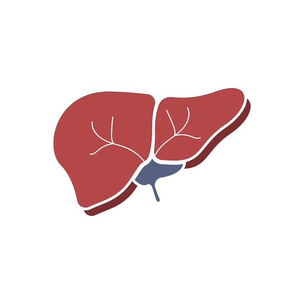 Ilustración de la plantilla vectorial del logotipo médico del hígado