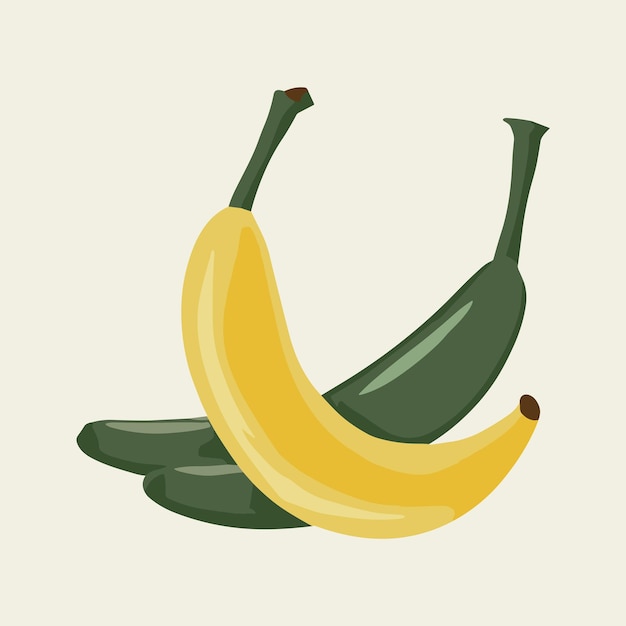 Ilustración del plátano