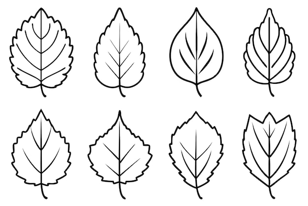 Ilustración de la pluma de arte de la línea de la hoja de Aspen