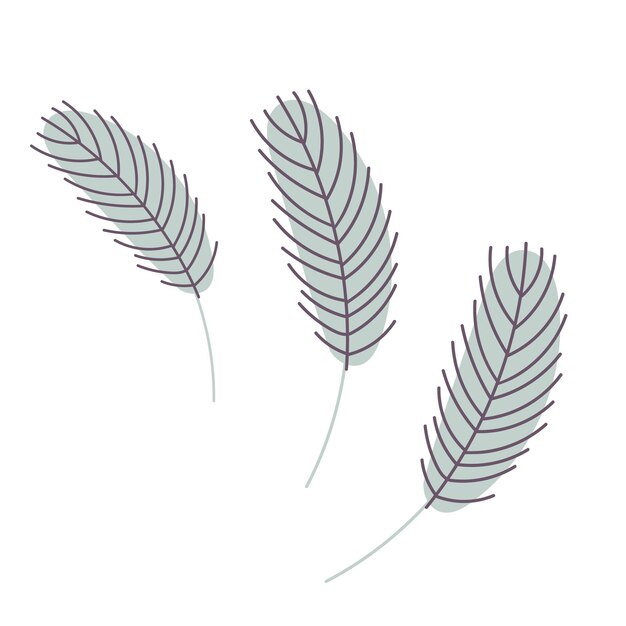 ilustración de plumas de aves