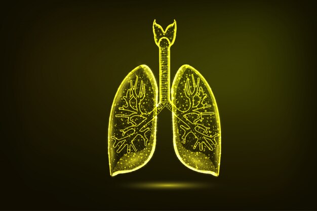 Ilustración poligonal de los pulmones del órgano del cuerpo humano
