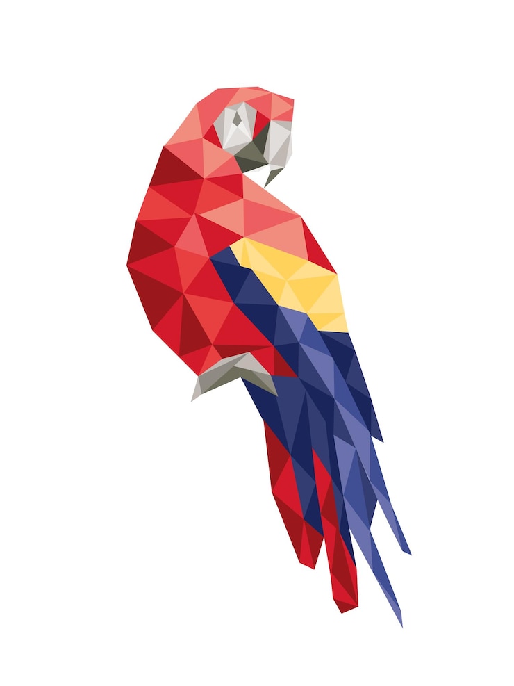 Vector ilustración poligonal vectorial del perrot amazónico