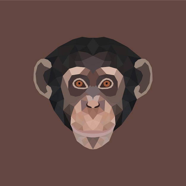 La ilustración del polígono del chimpancé