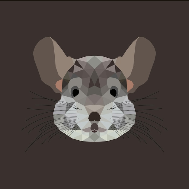 La ilustración del polígono Chinchilla